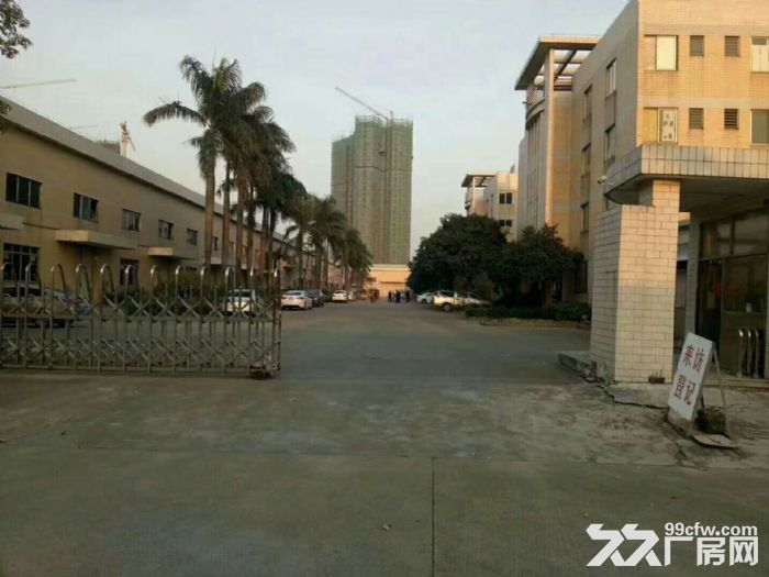 蓬江区棠下镇工业区独院厂房10000平方招租-图4