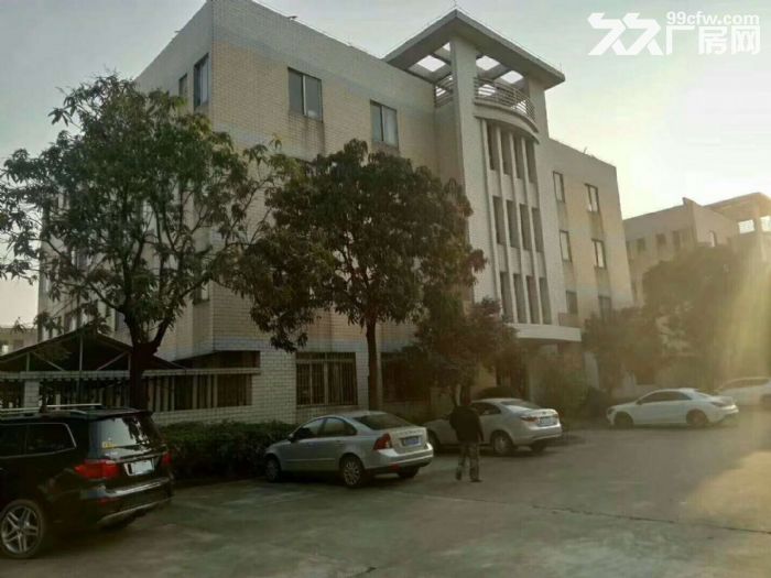 蓬江区棠下镇工业区独院厂房10000平方招租-图3