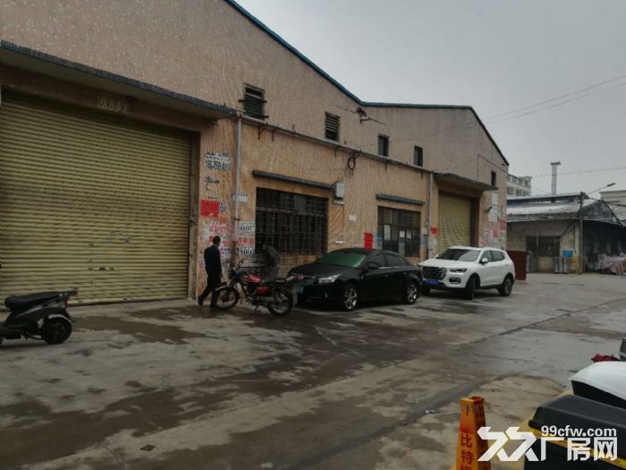 蓬江荷塘马滘桥独院单一层厂房1800平方招租