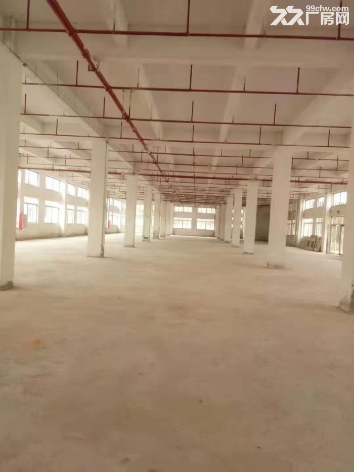 台山工业新城标准厂房3000平方招租