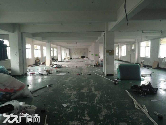 蓬江荷塘近古镇独院电梯厂房1000平方一层出租