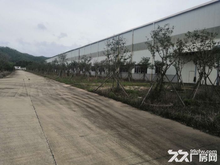 江门台山四九长龙独院带行车厂房10000平方出租可分租-图5