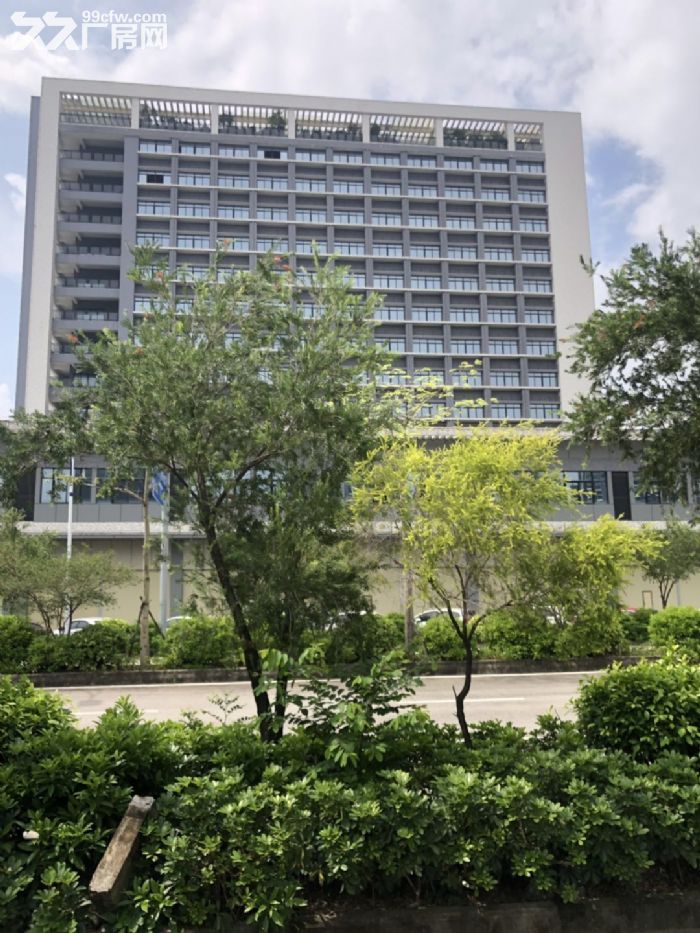 鹤山市金泰富大厦全新写字楼大厦出租