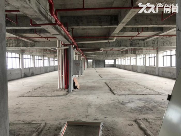 鹤山市金泰富大厦全新写字楼大厦出租-图6
