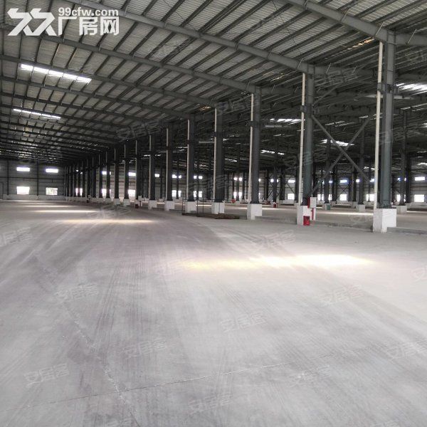 出租江门台山独院单一层10米厂房仓库6000平方空地大-图4