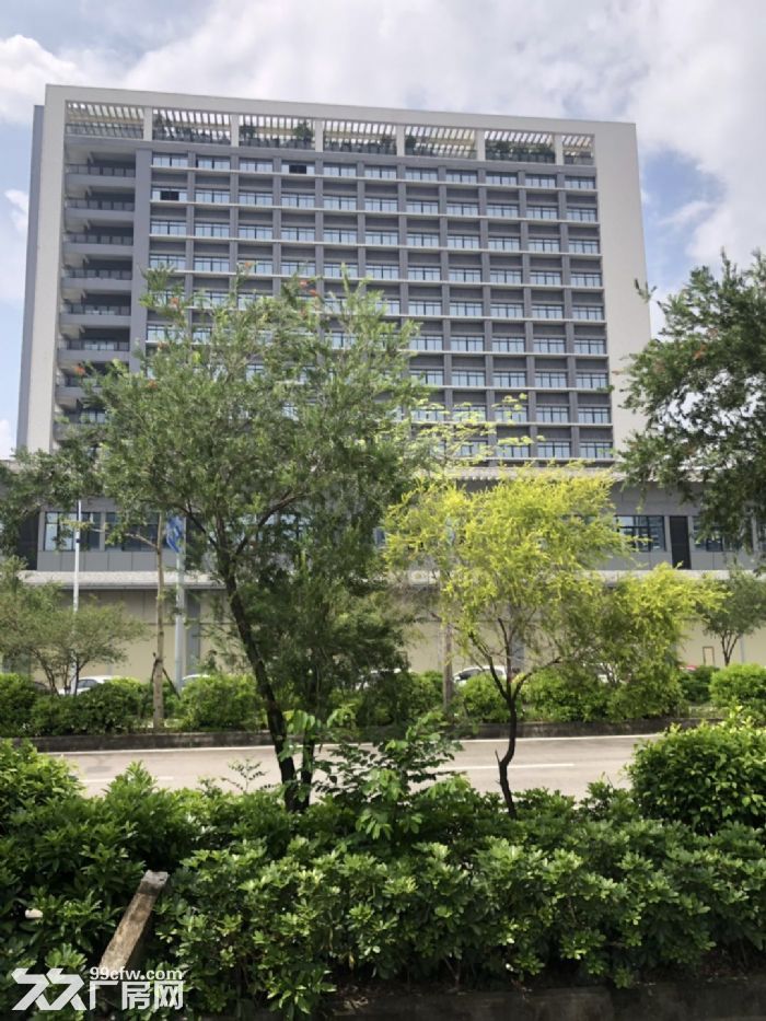 鹤山市金泰富大厦全新写字楼商铺出租-图2