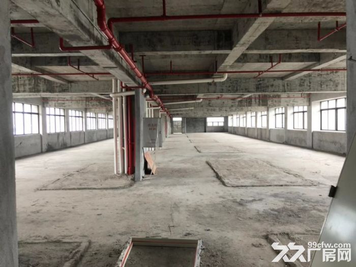 鹤山市金泰富大厦全新写字楼商铺出租-图5