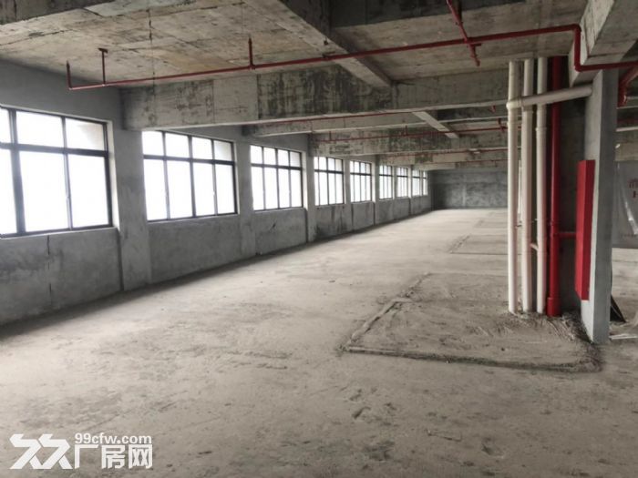 鹤山市金泰富大厦全新写字楼商铺出租-图6