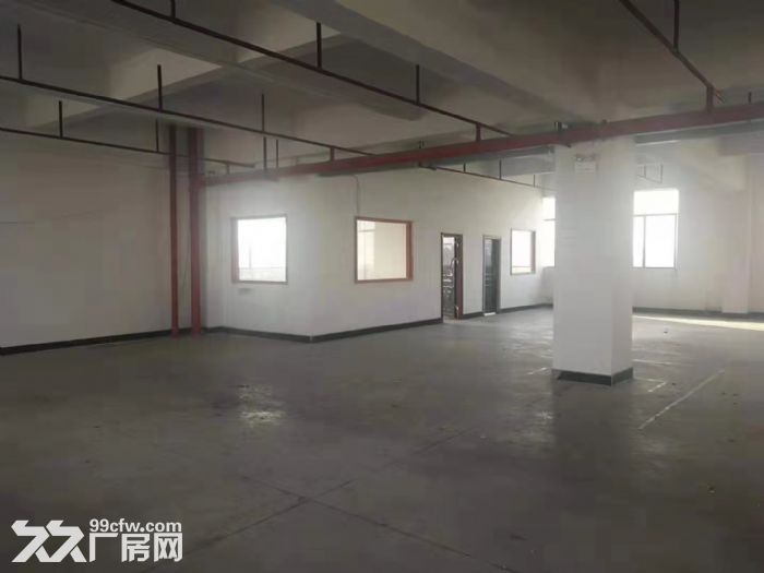 台山市水步镇工业园厂房独院单一层2000平方招租