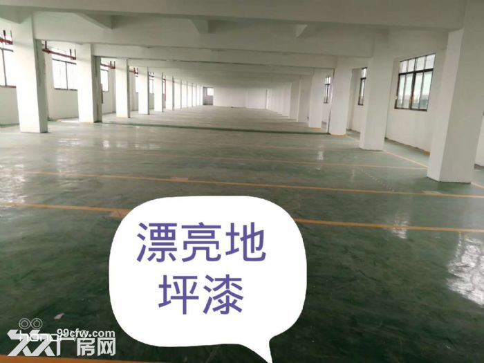 江门市蓬江区荷塘20000方厂房招租-图4