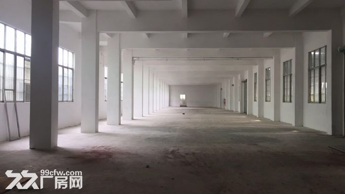 江门市蓬江区荷塘20000方厂房招租-图3
