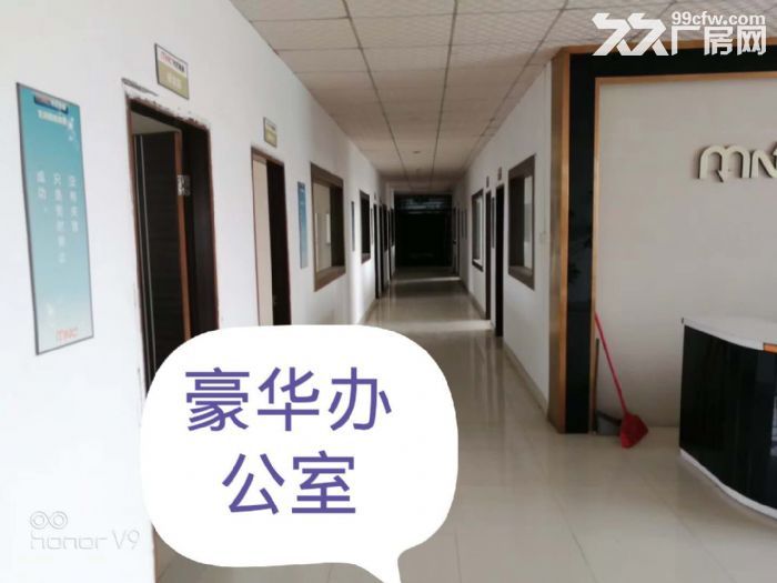 江门市蓬江区荷塘20000方厂房招租-图5