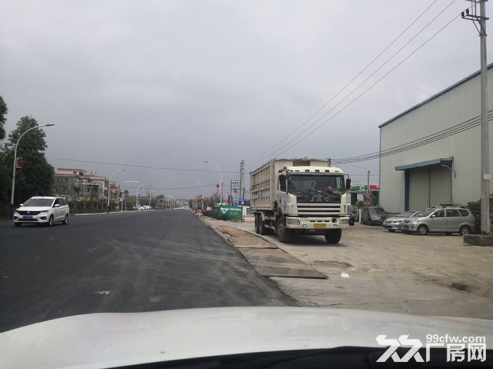 台山大江大路边厂房仓库，卖场，物流中转场地出租-图3