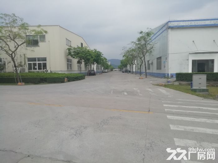 台山台城工业厂房10000平方出租，可分租1000方起租-图2