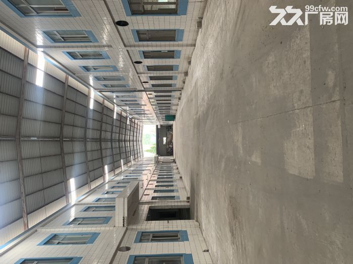 台山四九大型工业厂房出租