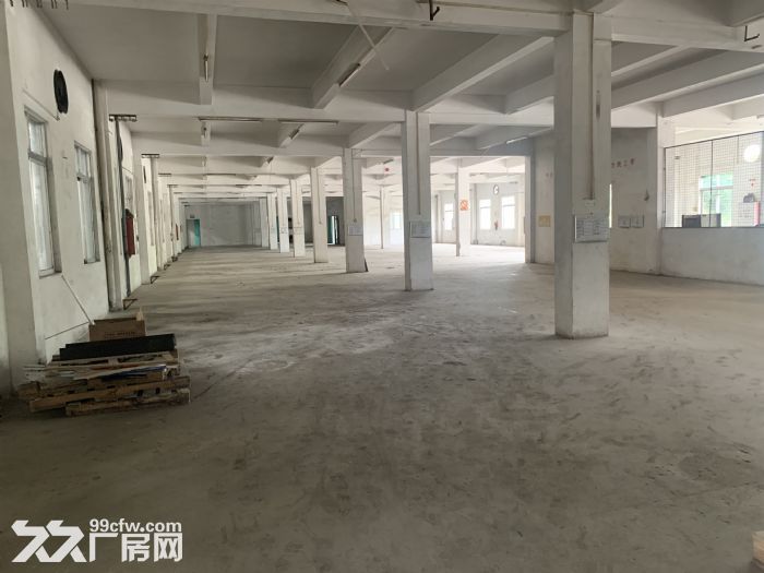 台山四九大型工业厂房出租-图2