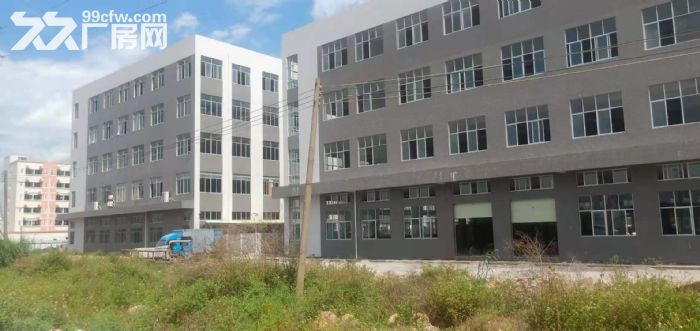 江海区 高新区 全新大型工业园区厂房出租-图3
