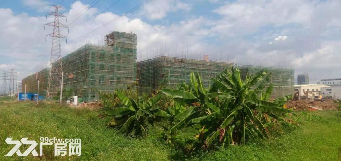 江海区 高新区 全新大型工业园区厂房出租-图6