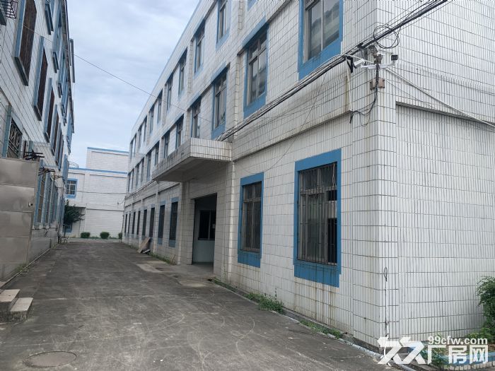 台山市四九镇50000平方厂房出租