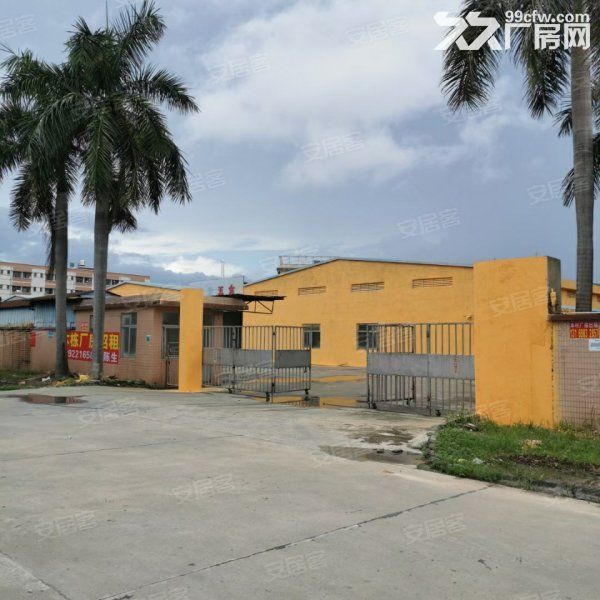 江门蓬江棠下独院单一层厂房仓库出租3800平方，空地约2000平方-图8