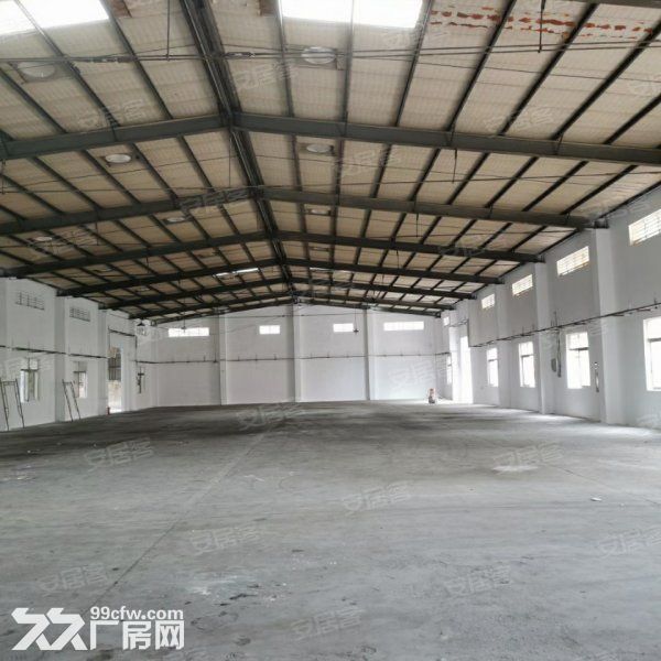 江门蓬江棠下独院单一层厂房仓库出租3800平方，空地约2000平方-图5