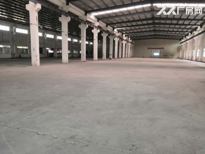 台山工业新城独院单一层厂房1000平方招租