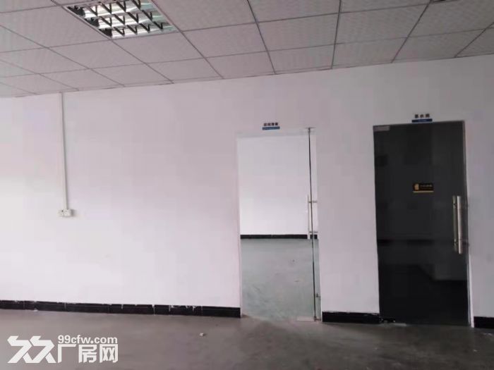 台山水步一标准厂房仓库600平方招租