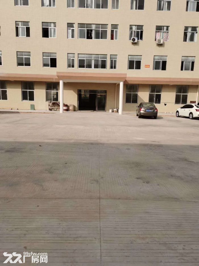 台山工业新城形像好现成装修厂房办公仓库出租900平方