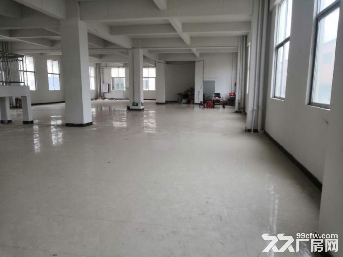 台山工业新城形像好现成装修厂房办公仓库出租900平方-图5