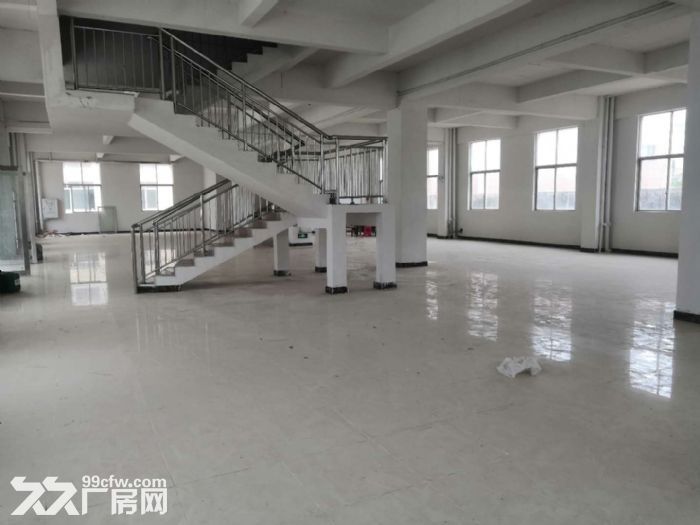 台山工业新城形像好现成装修厂房办公仓库出租900平方-图6