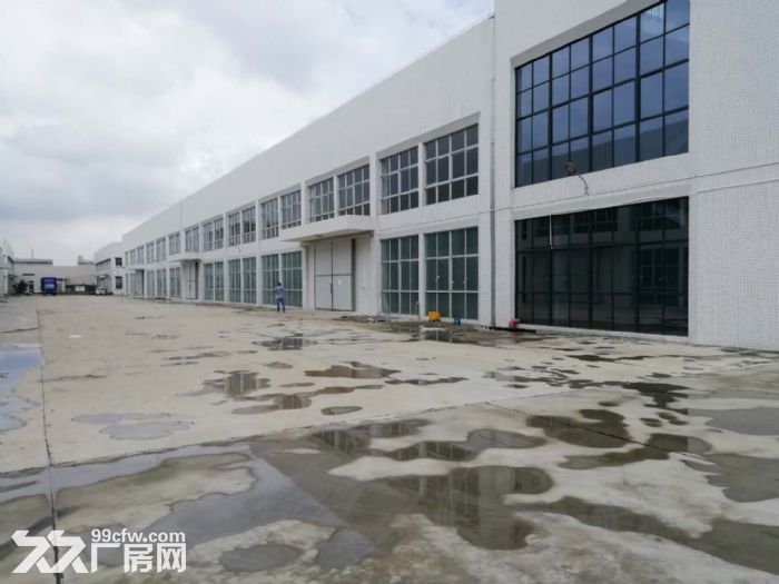 台山工业新城独院全新厂房16000方招租-图3