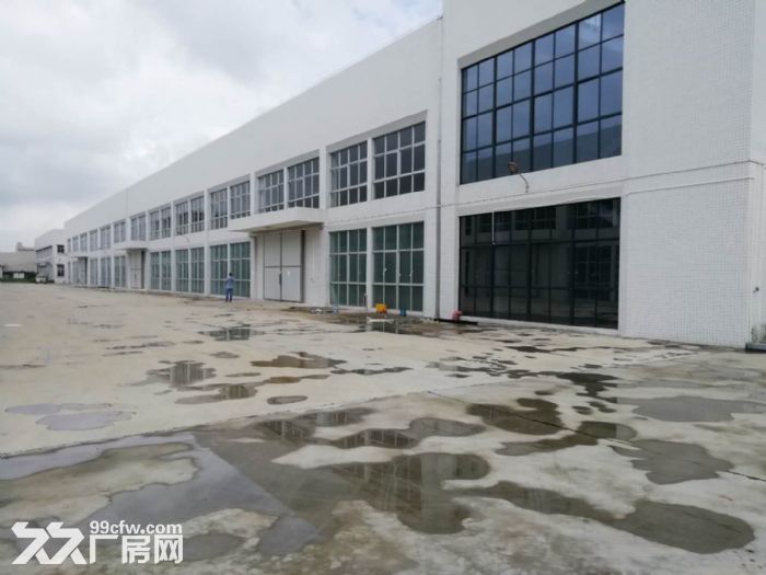 台山工业新城独院全新厂房16000方招租-图2