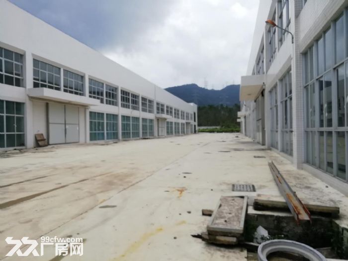 台山工业新城独院全新厂房16000方招租-图4