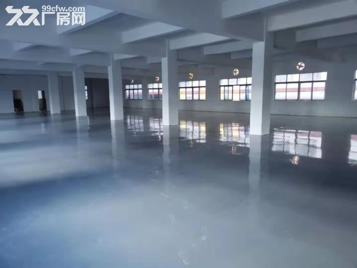 台山台城周边各式加工厂招租-图4