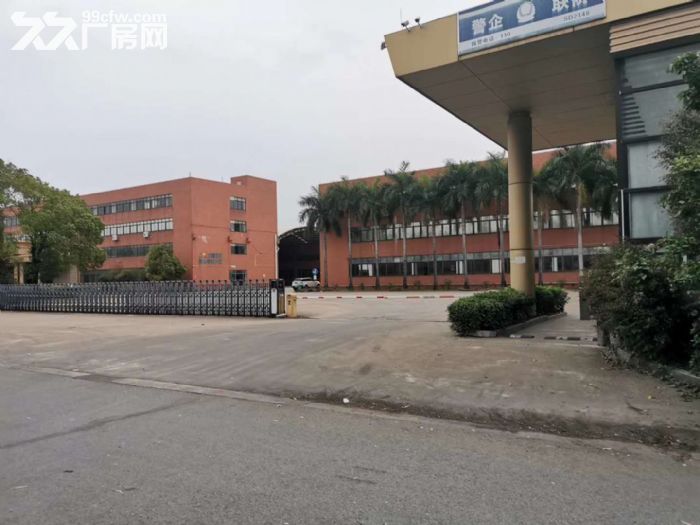 专业代理江门五邑地区各式厂房土地租售业务-图4