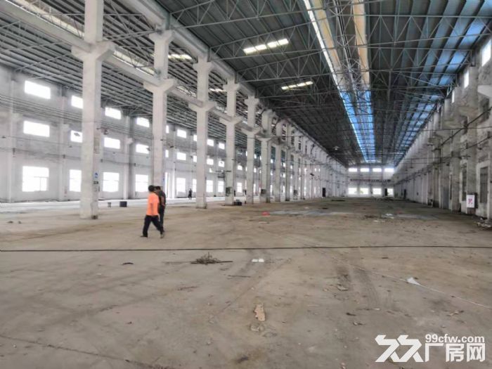 鹤山大型工业园分租厂房一栋7000平方12米高-图4