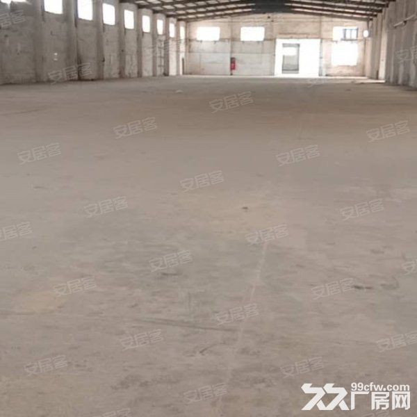 江门新会司前独院工业园厂房30000平方招租，可分栋出租-图2