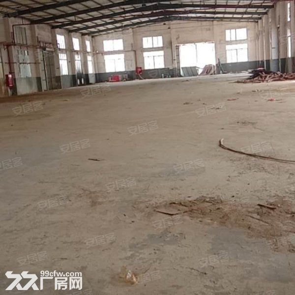 江门新会司前独院工业园厂房30000平方招租，可分栋出租-图4