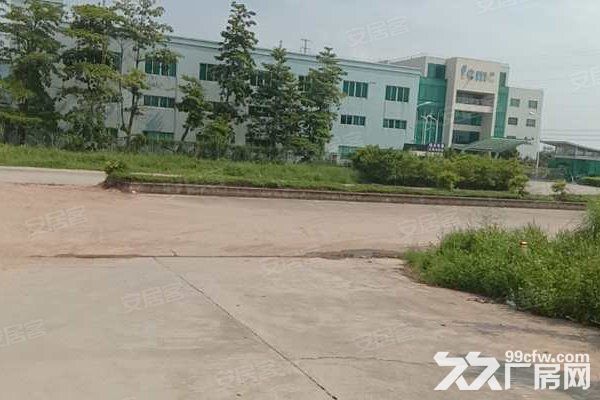 江门新会司前独院工业园厂房30000平方招租，可分栋出租-图5