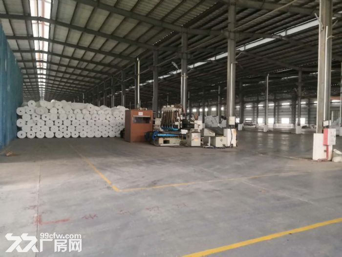 台山台城工业区独院一楼厂房仓库5000平方招租-图3