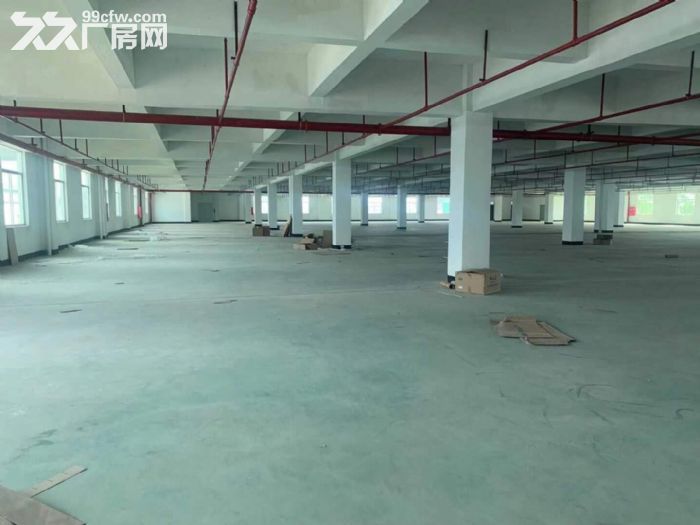 台山水步镇工业厂房出租-图2