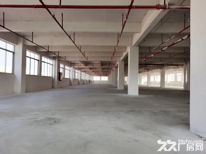 台山水步镇工业厂房出租-图3