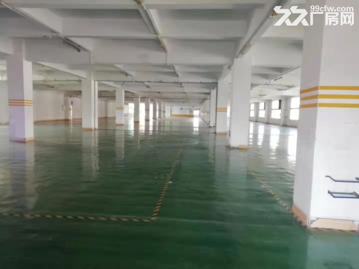 台山工业新城有厂房出租，配套齐全