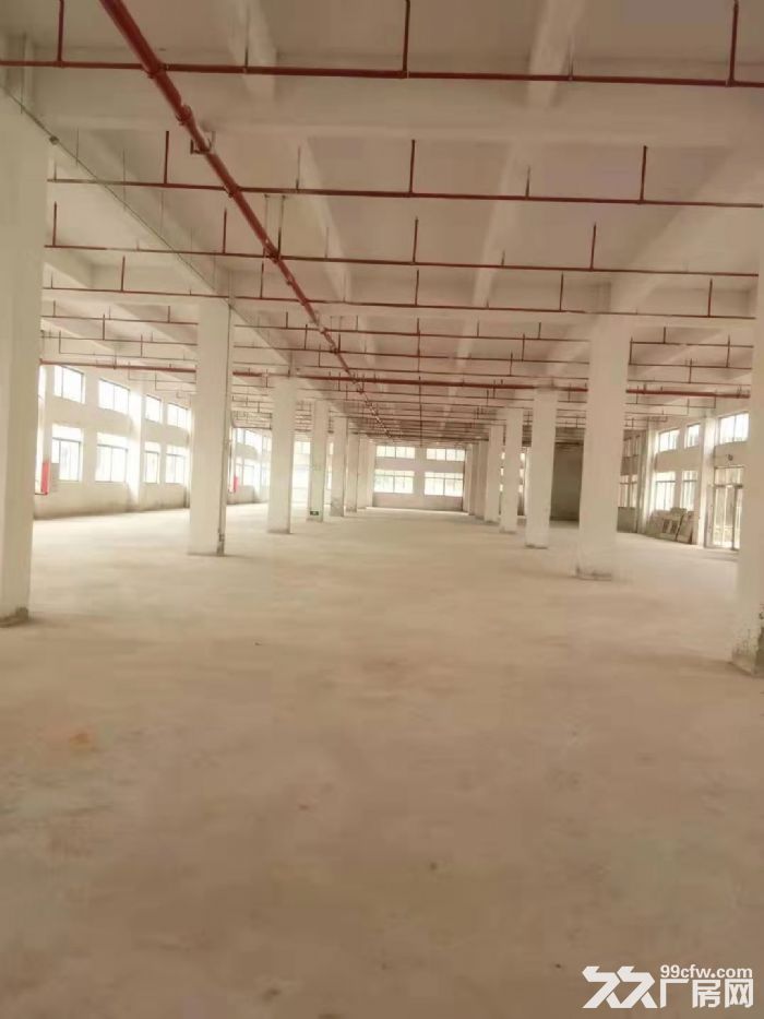 台山工业新城有厂房出租，配套齐全-图6