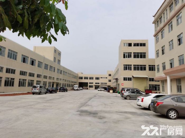 江门台山水步电梯厂房2000平方招租，形像好