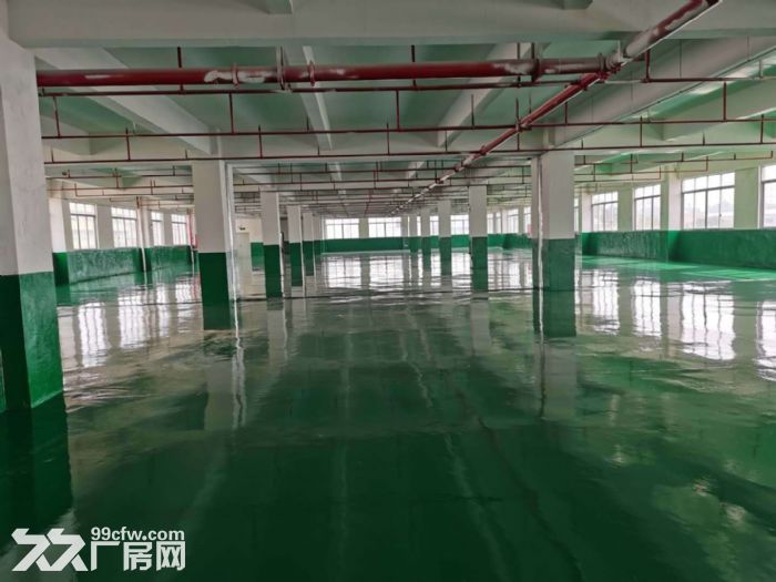 江门台山水步电梯厂房2000平方招租，形像好-图3