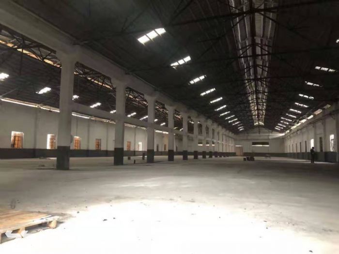 台山台城工业区独立单一层现成装修厂房2000平方招租-图2