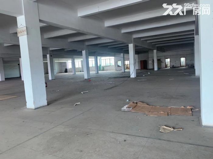 台山水步工业厂房出租-图2