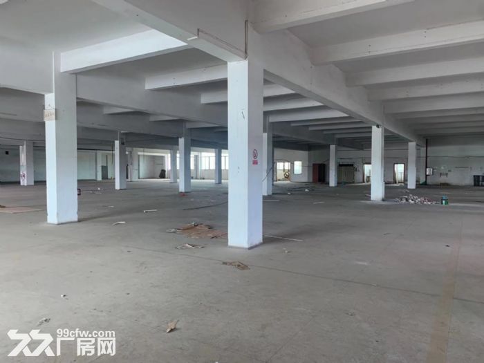 台山水步工业厂房出租-图4