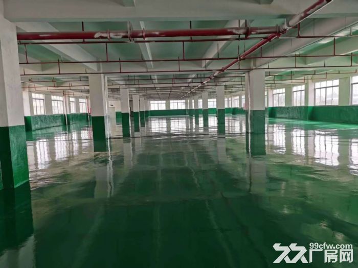 台山工业新城水步工业区平1200平方现成装修厂房出租